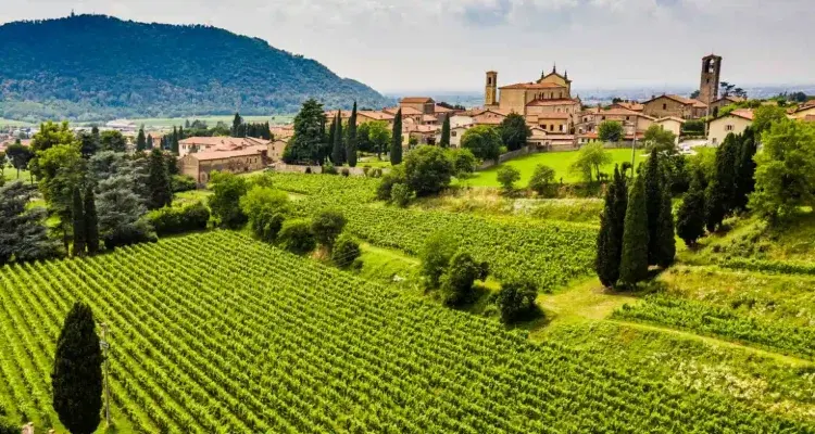 Franciacorta